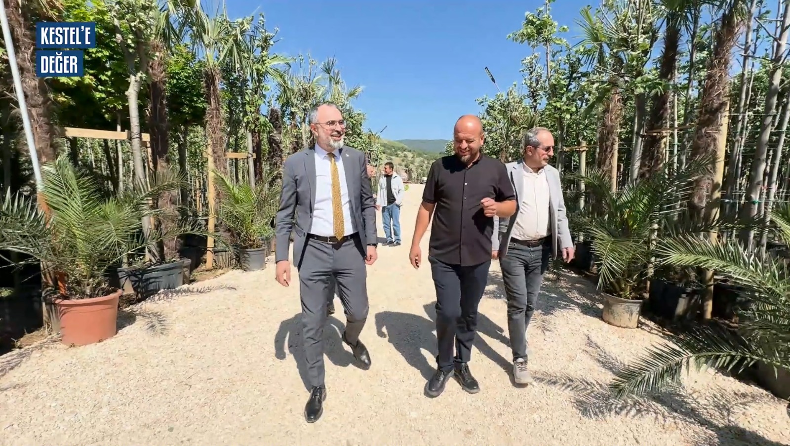 Kestel Belediyesi Fidancılık Çalışmaları